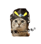 きんた あんど ふれんど（個別スタンプ：2）