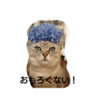 きんた あんど ふれんど（個別スタンプ：10）