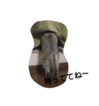 きんた あんど ふれんど（個別スタンプ：11）