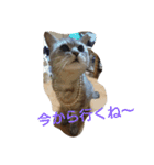 きんた あんど ふれんど（個別スタンプ：13）