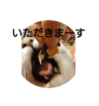 きんた あんど ふれんど（個別スタンプ：14）