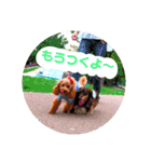 アイティ仲良しコンビ(*^o^)／＼(^-^*)（個別スタンプ：7）