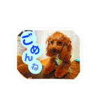 アイティ仲良しコンビ(*^o^)／＼(^-^*)（個別スタンプ：11）