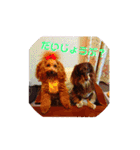アイティ仲良しコンビ(*^o^)／＼(^-^*)（個別スタンプ：12）