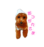 アイティ仲良しコンビ(*^o^)／＼(^-^*)（個別スタンプ：14）