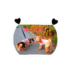 アイティ仲良しコンビ(*^o^)／＼(^-^*)（個別スタンプ：17）