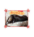アイティ仲良しコンビ(*^o^)／＼(^-^*)（個別スタンプ：18）