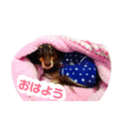 アイティ仲良しコンビ(*^o^)／＼(^-^*)（個別スタンプ：19）