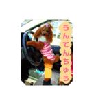 アイティ仲良しコンビ(*^o^)／＼(^-^*)（個別スタンプ：20）