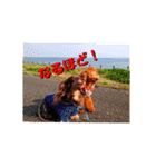アイティ仲良しコンビ(*^o^)／＼(^-^*)（個別スタンプ：21）