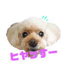 宮崎弁プ～イ（個別スタンプ：6）