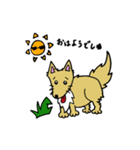 愛犬ライラムの毎日（個別スタンプ：1）