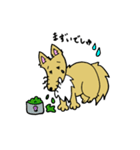 愛犬ライラムの毎日（個別スタンプ：13）