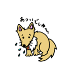 愛犬ライラムの毎日（個別スタンプ：15）