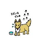 愛犬ライラムの毎日（個別スタンプ：22）