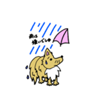 愛犬ライラムの毎日（個別スタンプ：25）