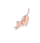わたしゃネコ（個別スタンプ：7）