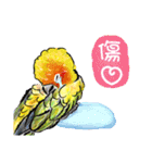 太陽餅♡世界で一番かわいいニョオウインコ（個別スタンプ：22）