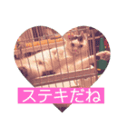 そらまめwithひな（個別スタンプ：4）