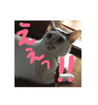 そらまめwithひな（個別スタンプ：9）