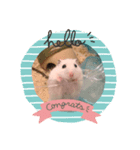 ティンちゃん（個別スタンプ：1）