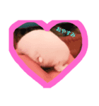 ティンちゃん（個別スタンプ：2）
