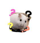 ティンちゃん（個別スタンプ：3）