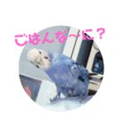 子安家用スタンプ（個別スタンプ：3）