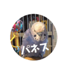 子安家用スタンプ（個別スタンプ：7）