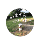 ジーナと同棲中（個別スタンプ：6）