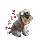 ジーナと同棲中（個別スタンプ：7）