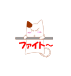 残念な独り言ヌコ（個別スタンプ：19）