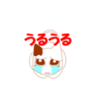 残念な独り言ヌコ（個別スタンプ：20）