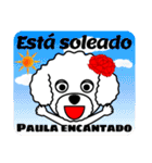 Paulaが使うスペイン語の日常会話（個別スタンプ：31）