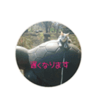 えつおさん(猫)の公園編（個別スタンプ：3）