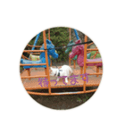 えつおさん(猫)の公園編（個別スタンプ：5）