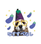 コッカーの仲間たち（個別スタンプ：18）