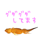 あごひげなトカゲの一日（個別スタンプ：33）