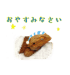 あごひげなトカゲの一日（個別スタンプ：39）