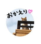 ちくわくんスタンプ（個別スタンプ：1）