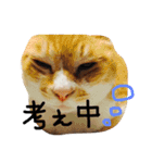 ちくわくんスタンプ（個別スタンプ：7）