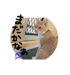 ちくわくんスタンプ（個別スタンプ：11）
