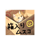 ちくわくんスタンプ（個別スタンプ：23）