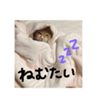 ちくわくんスタンプ（個別スタンプ：24）