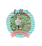 bird9040（個別スタンプ：1）