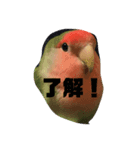 ピータンの日常2（個別スタンプ：4）