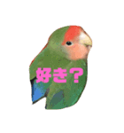 ピータンの日常2（個別スタンプ：5）
