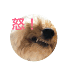 バニバニクータン 2（個別スタンプ：2）