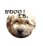 バニバニクータン 2（個別スタンプ：6）