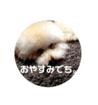 バニバニクータン 2（個別スタンプ：7）